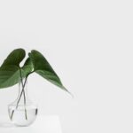 Retail brands are crushing it with experiential marketing. How can everyone else keep up?